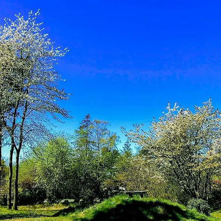 By Viking Grave And Protected Nature 度假居 *